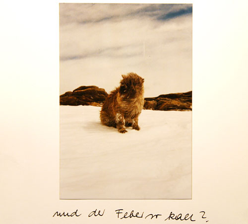 2_FEBRUAR