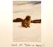 2_FEBRUAR