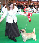 crufts2009