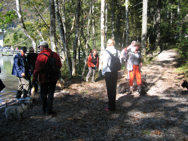 Almsee016