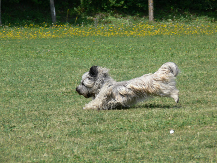 P1000498